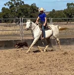 Meet your Posher, Eva